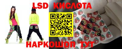 ALPHA PVP Гатчина