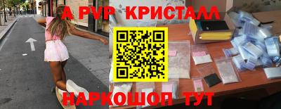 сатива Гай