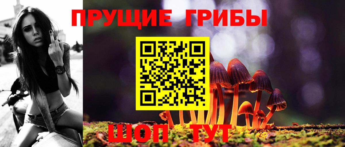 Нальчик  Псилоцибиновые грибы мицелий  Галлюциногенные грибы Psilocybine cubensis  Вход с VPN 