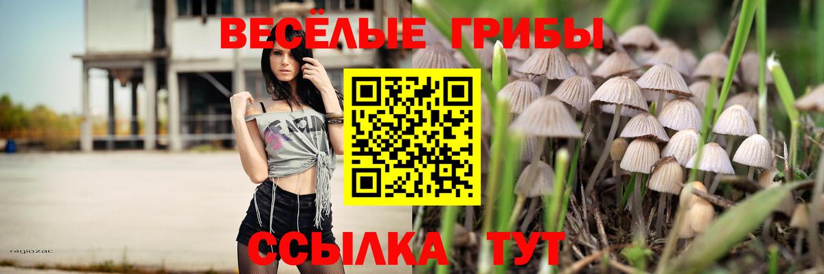 Псилоцибиновые грибы прущие грибы Нальчик